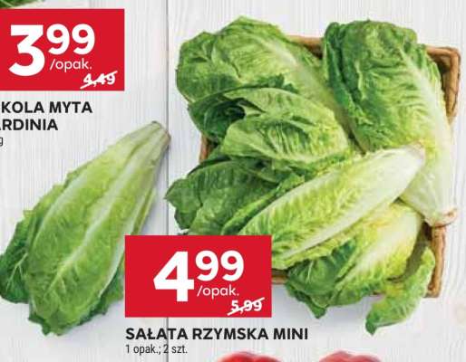 Sałata rzymska mini