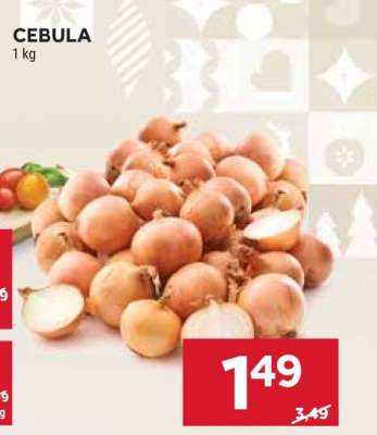 Cebula