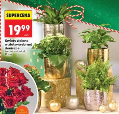 Kwiaty zielone w złoto-srebrnej doniczce