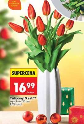 Tulipany, 9 szt.