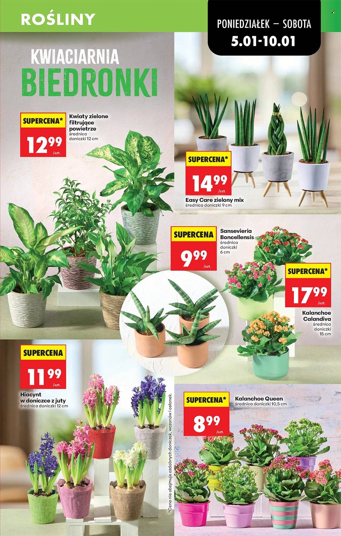 Gazetka Biedronka - 5.01.2026 - 10.01.2026. Strona 17