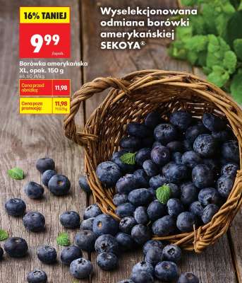 Borówka amerykańska XL, opak. 150 g