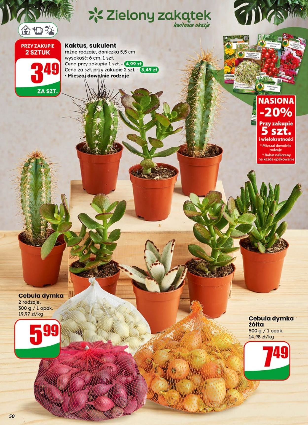 Gazetka Dino - 7.01.2026 - 13.01.2026. Strona 50