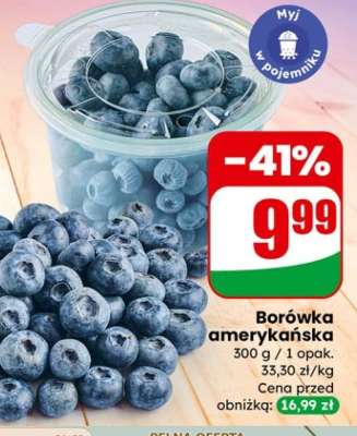 Borówka amerykańska