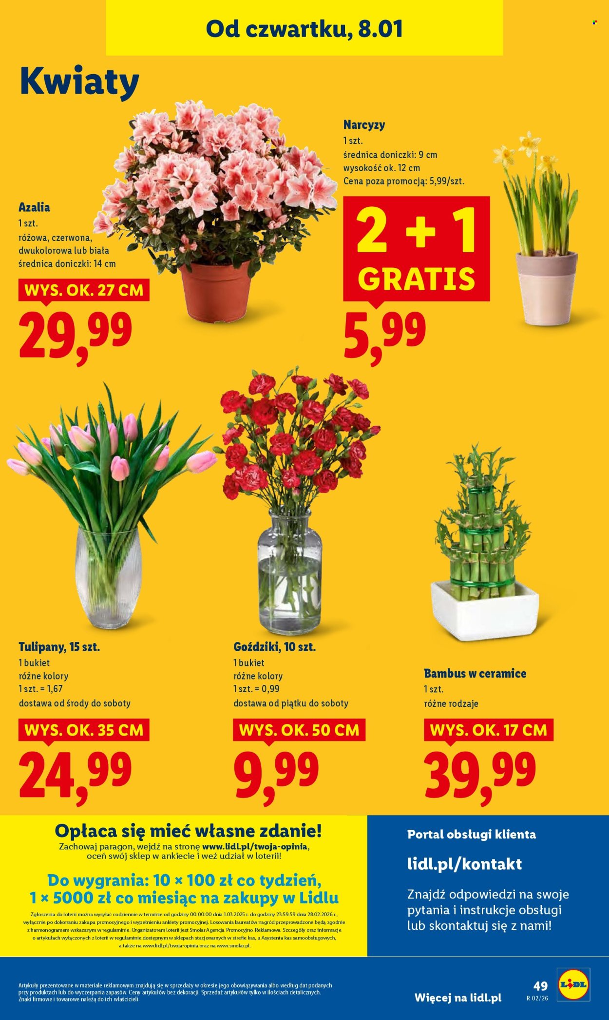 Gazetka Lidl - 8.01.2026 - 10.01.2026. Strona 49