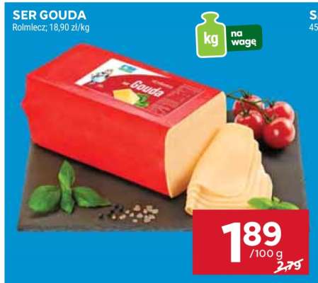 Ser Gouda