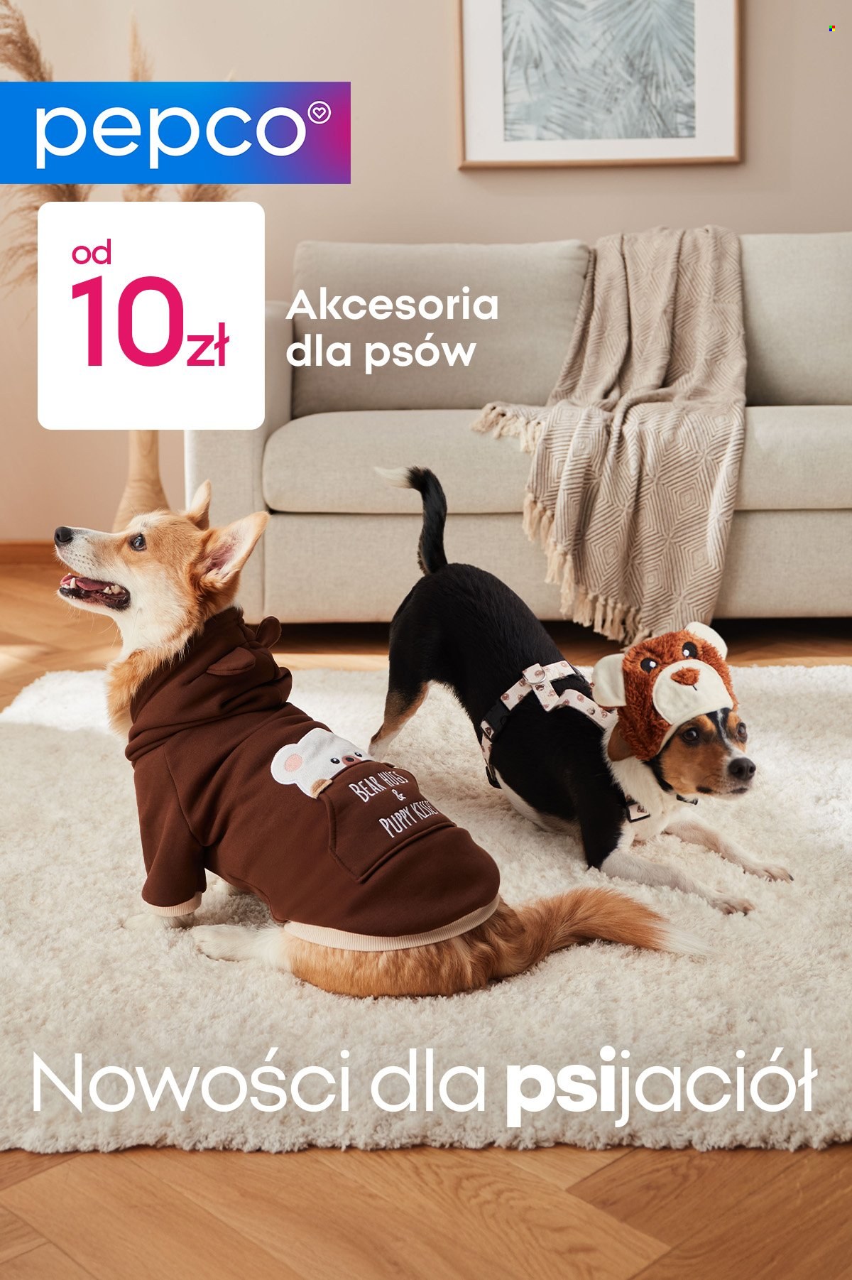 Gazetka Pepco. Strona 1