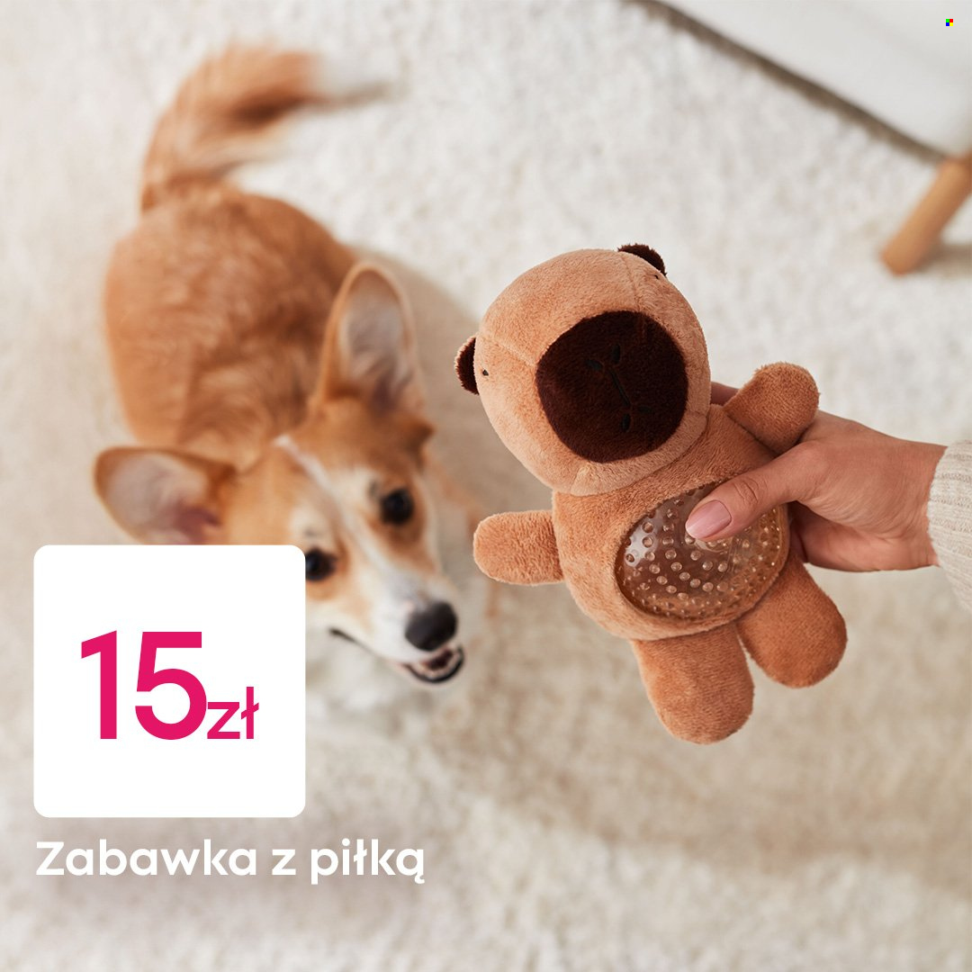 Gazetka Pepco. Strona 3