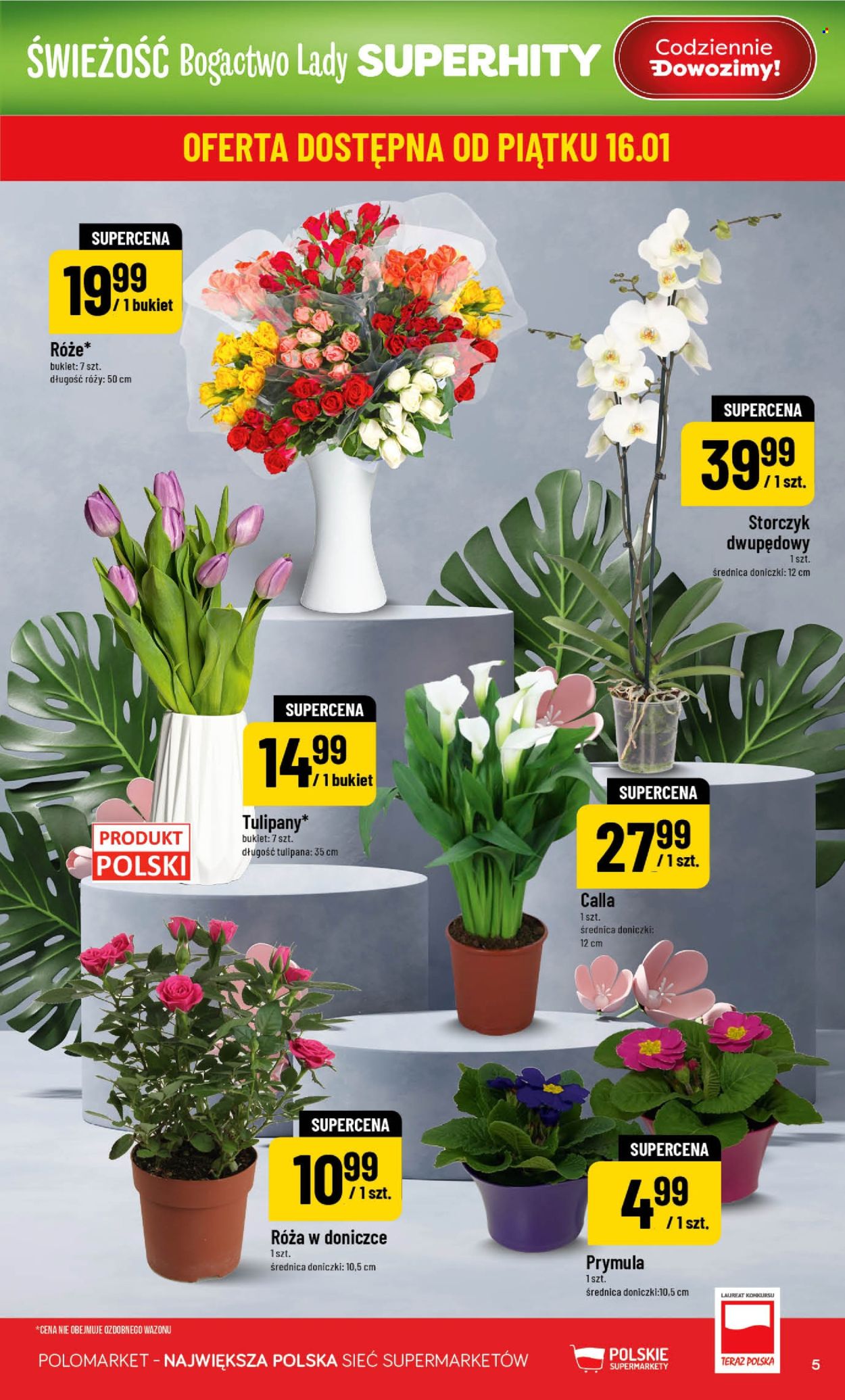 Gazetka Polomarket - 14.01.2026 - 20.01.2026. Strona 5