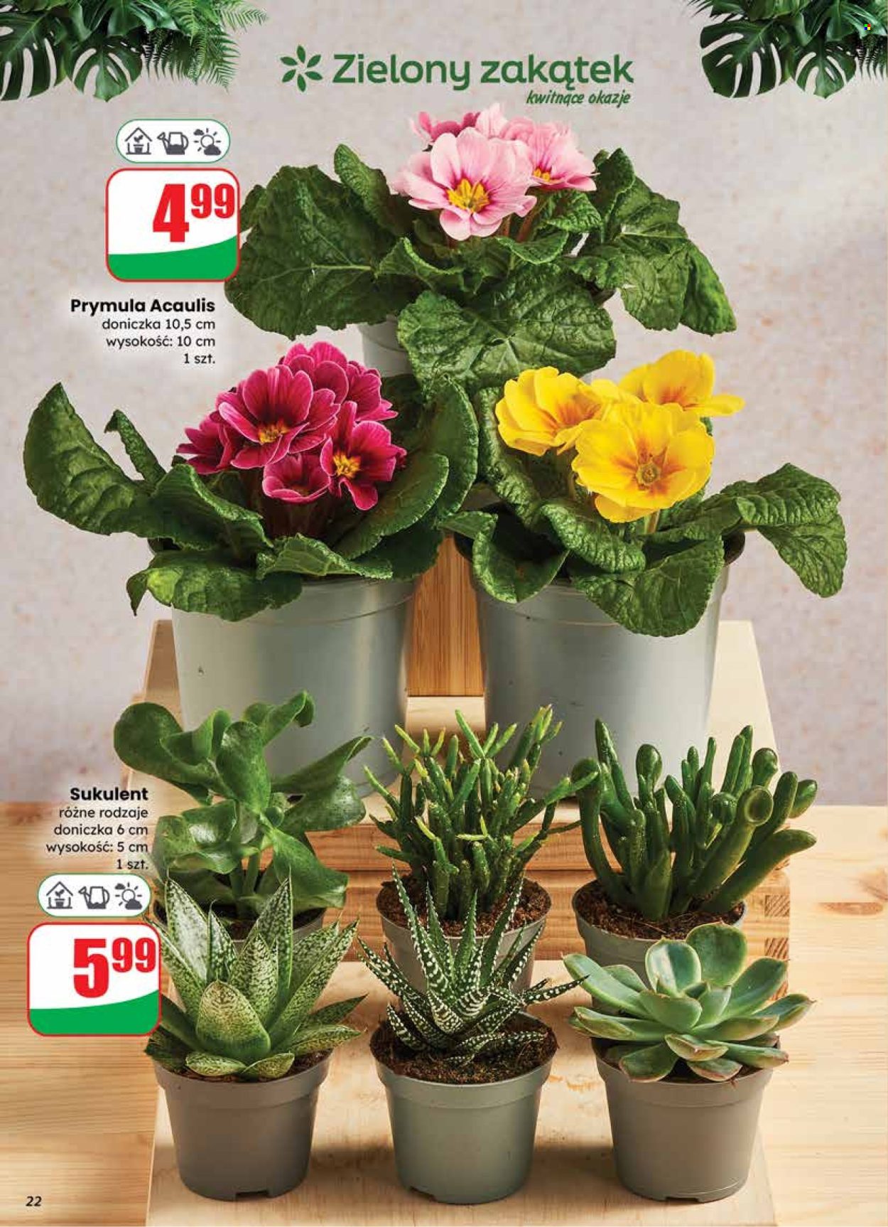 Gazetka Dino - 14.01.2026 - 20.01.2026. Strona 22