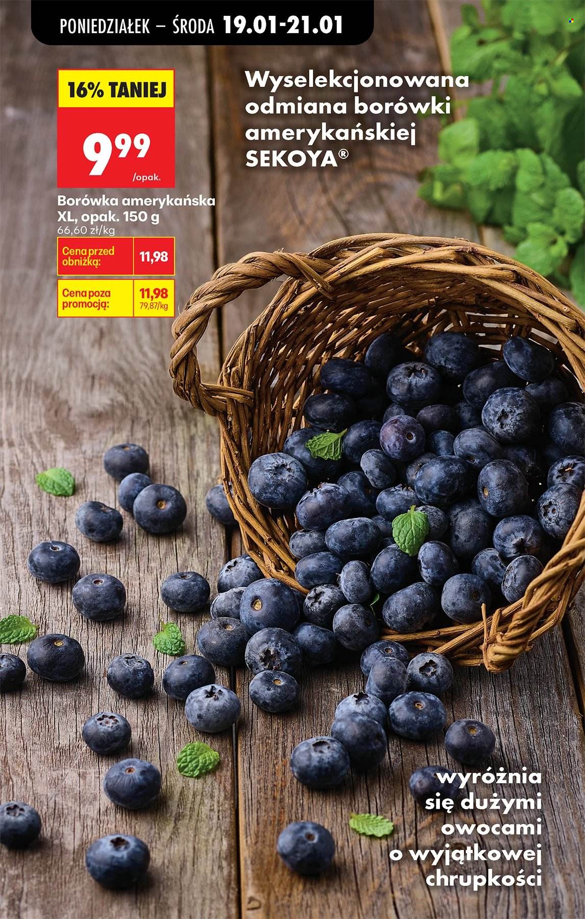 Gazetka Biedronka - 19.01.2026 - 24.01.2026. Strona 67