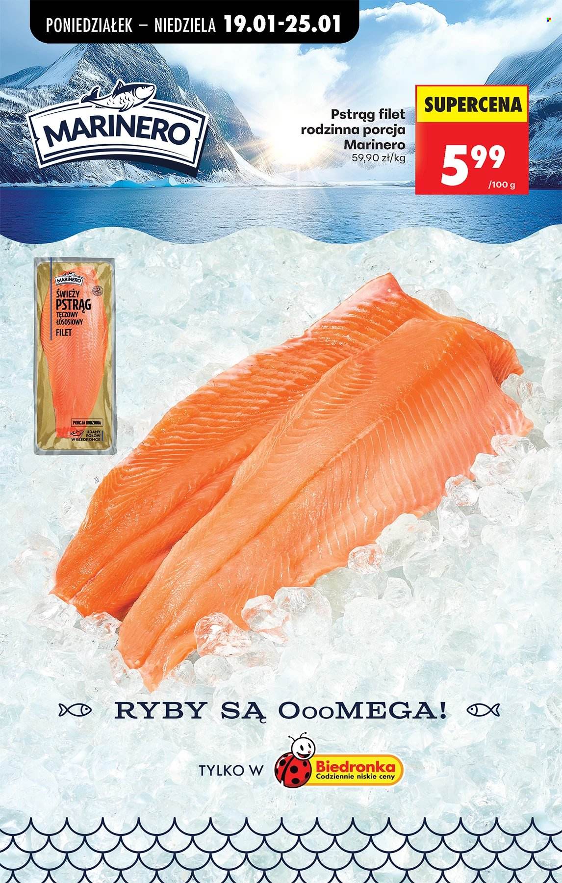 Gazetka Biedronka - 19.01.2026 - 24.01.2026. Strona 73