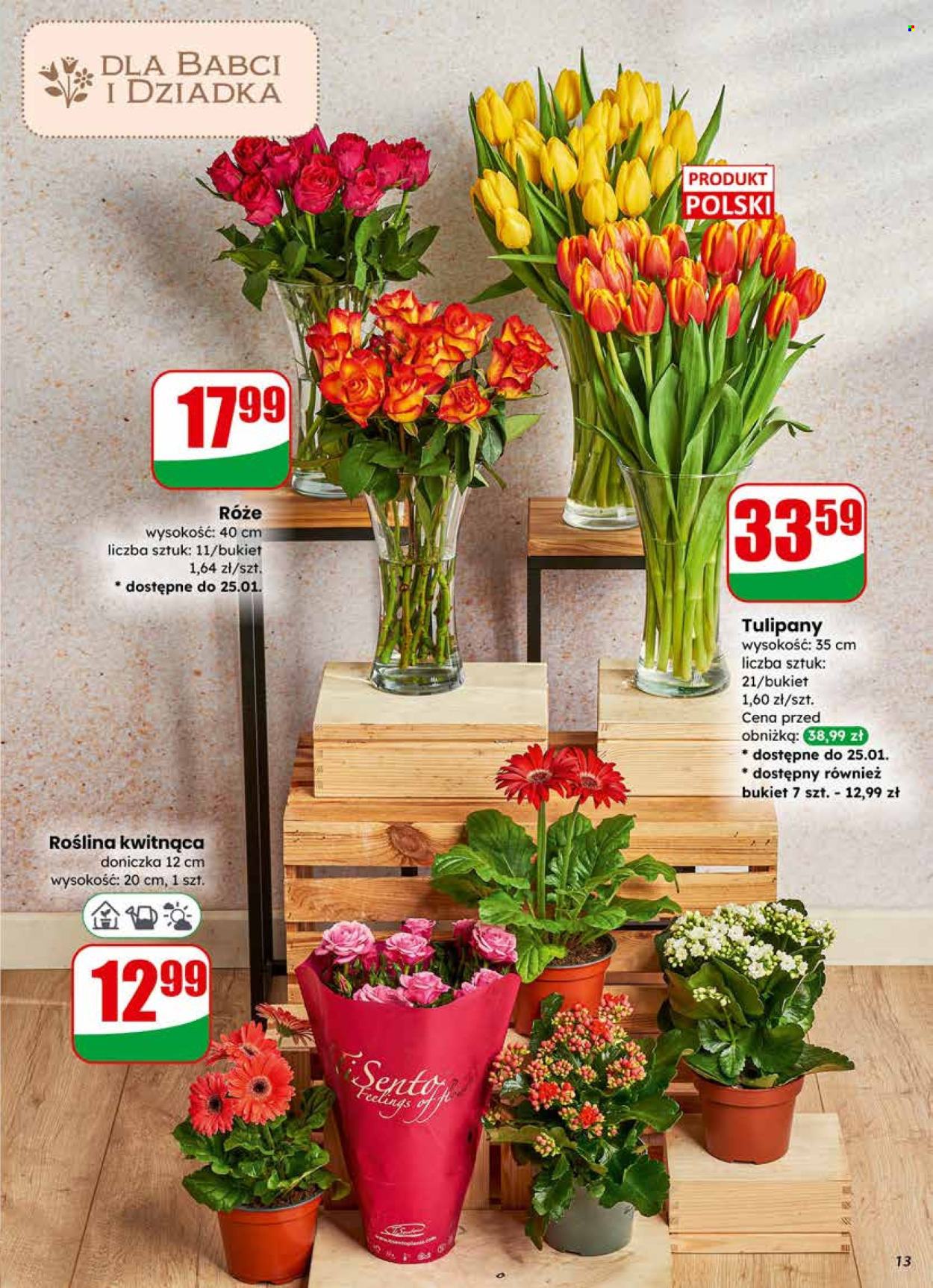 Gazetka Dino - 21.01.2026 - 27.01.2026. Strona 13