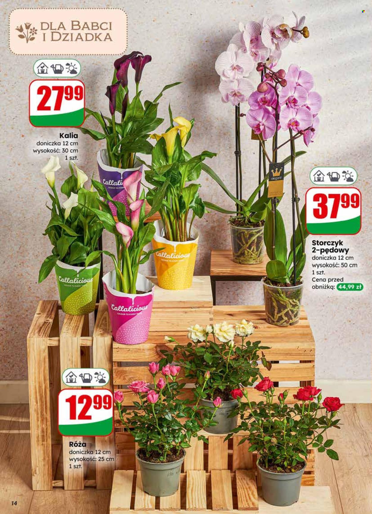 Gazetka Dino - 21.01.2026 - 27.01.2026. Strona 14