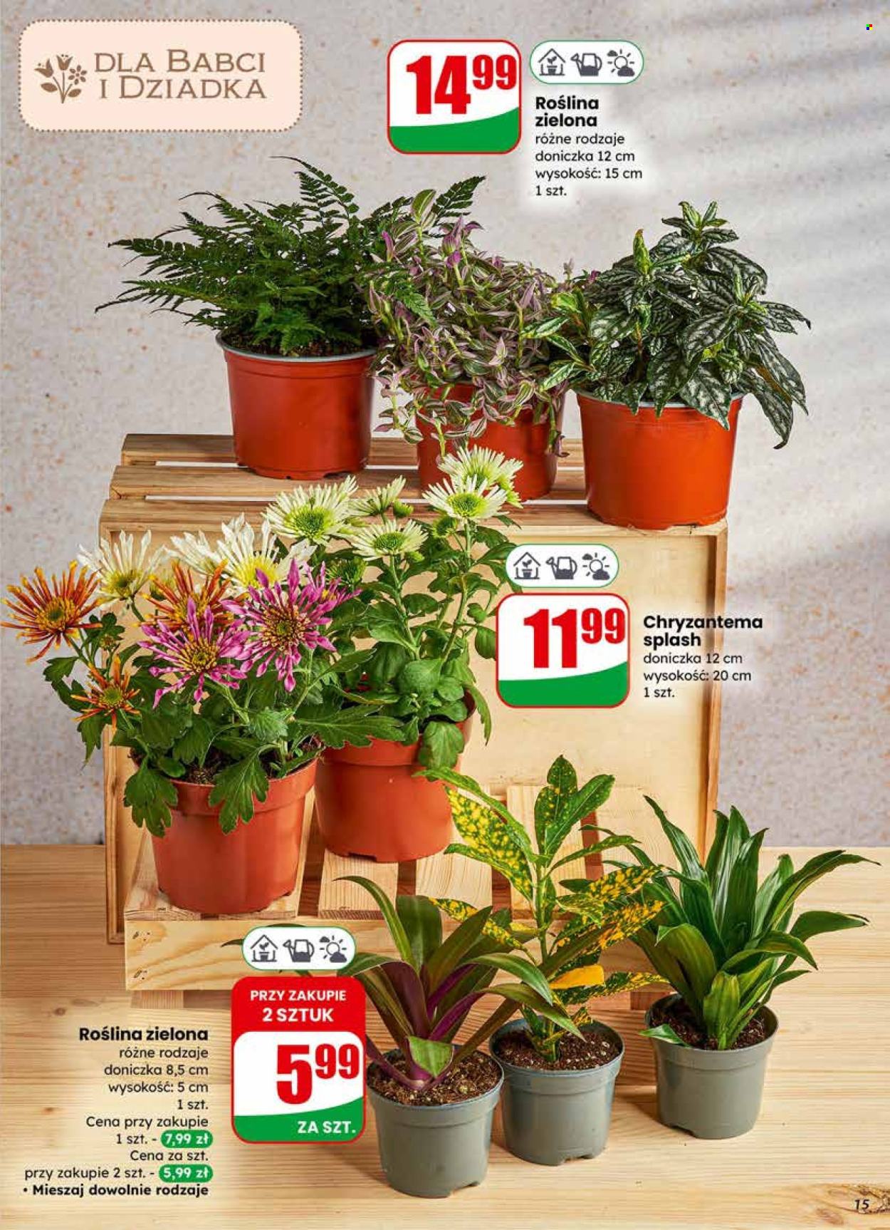 Gazetka Dino - 21.01.2026 - 27.01.2026. Strona 15