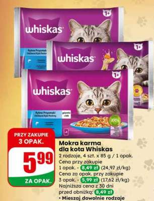 Mokra karma dla kota Whiskas