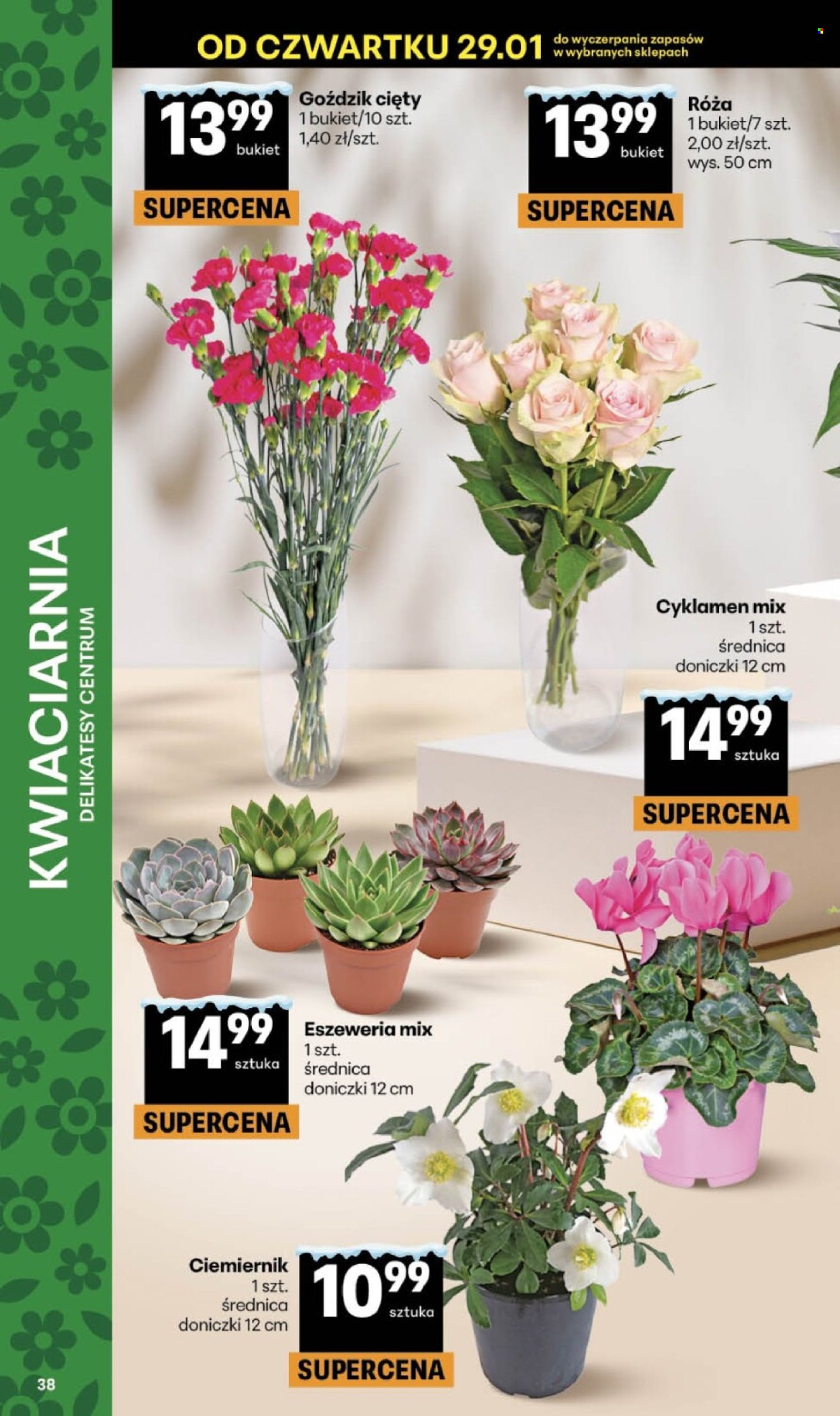 Gazetka Delikatesy Centrum - 29.01.2026 - 4.02.2026. Strona 38