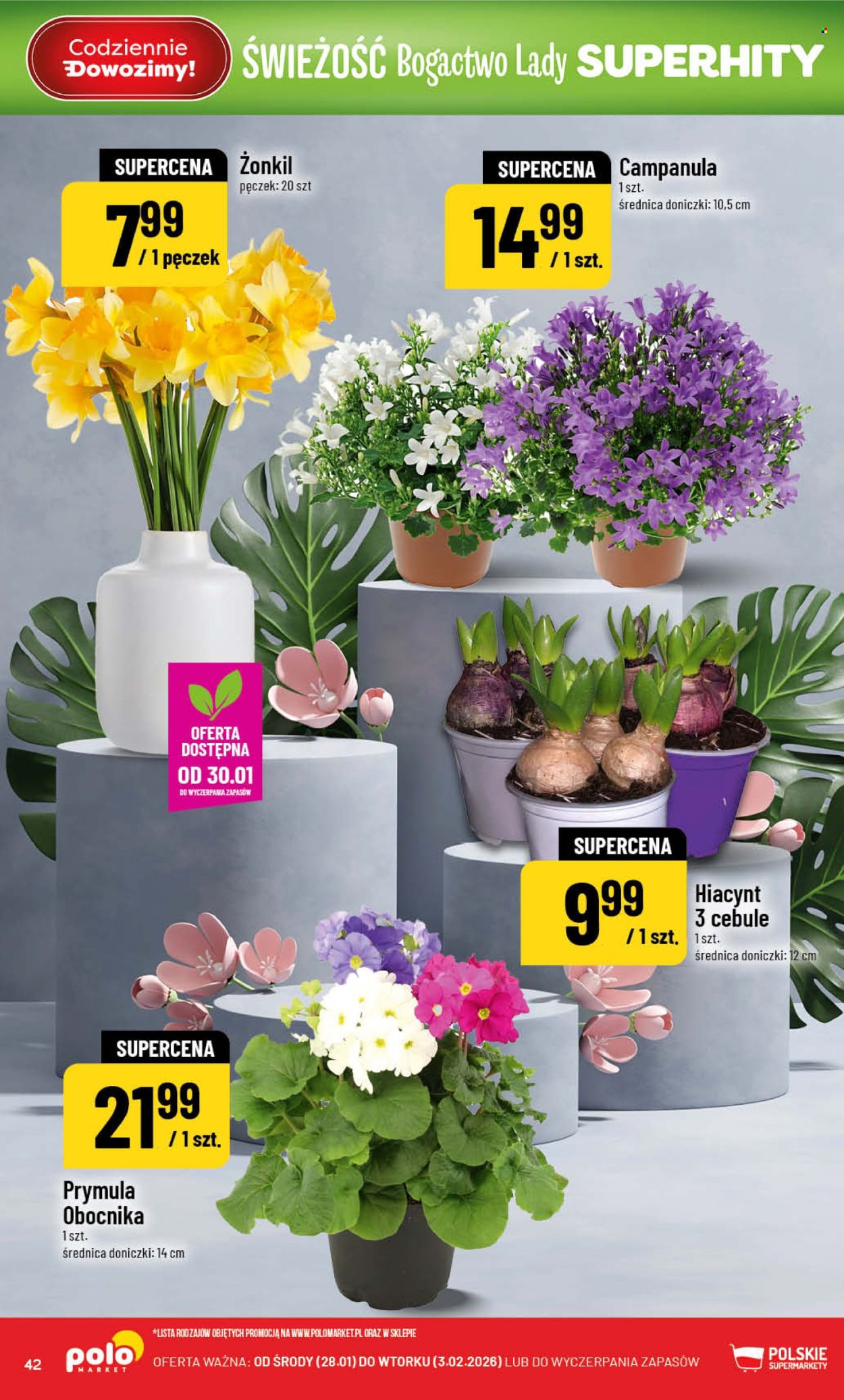 Gazetka Polomarket - 28.01.2026 - 3.02.2026. Strona 42