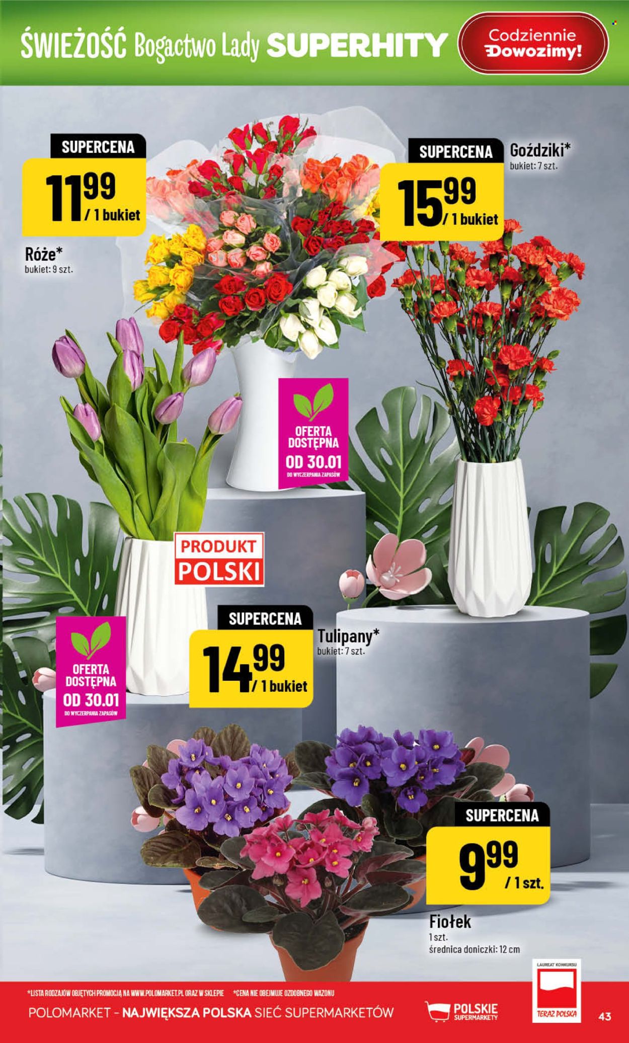 Gazetka Polomarket - 28.01.2026 - 3.02.2026. Strona 43