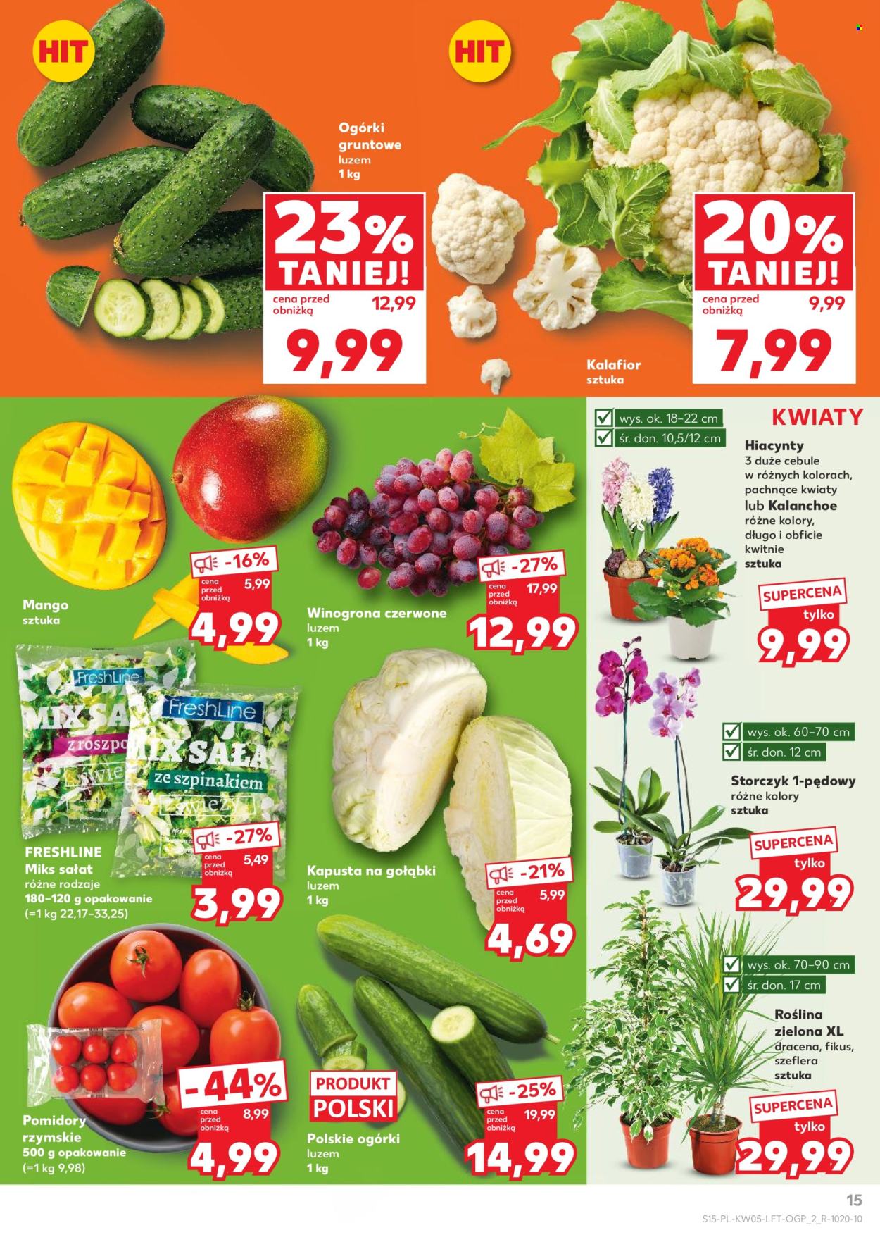 Gazetka Kaufland - 29.01.2026 - 4.02.2026. Strona 15