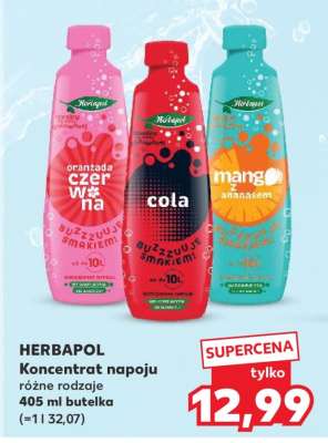 HERBAPOL Koncentrat napoju