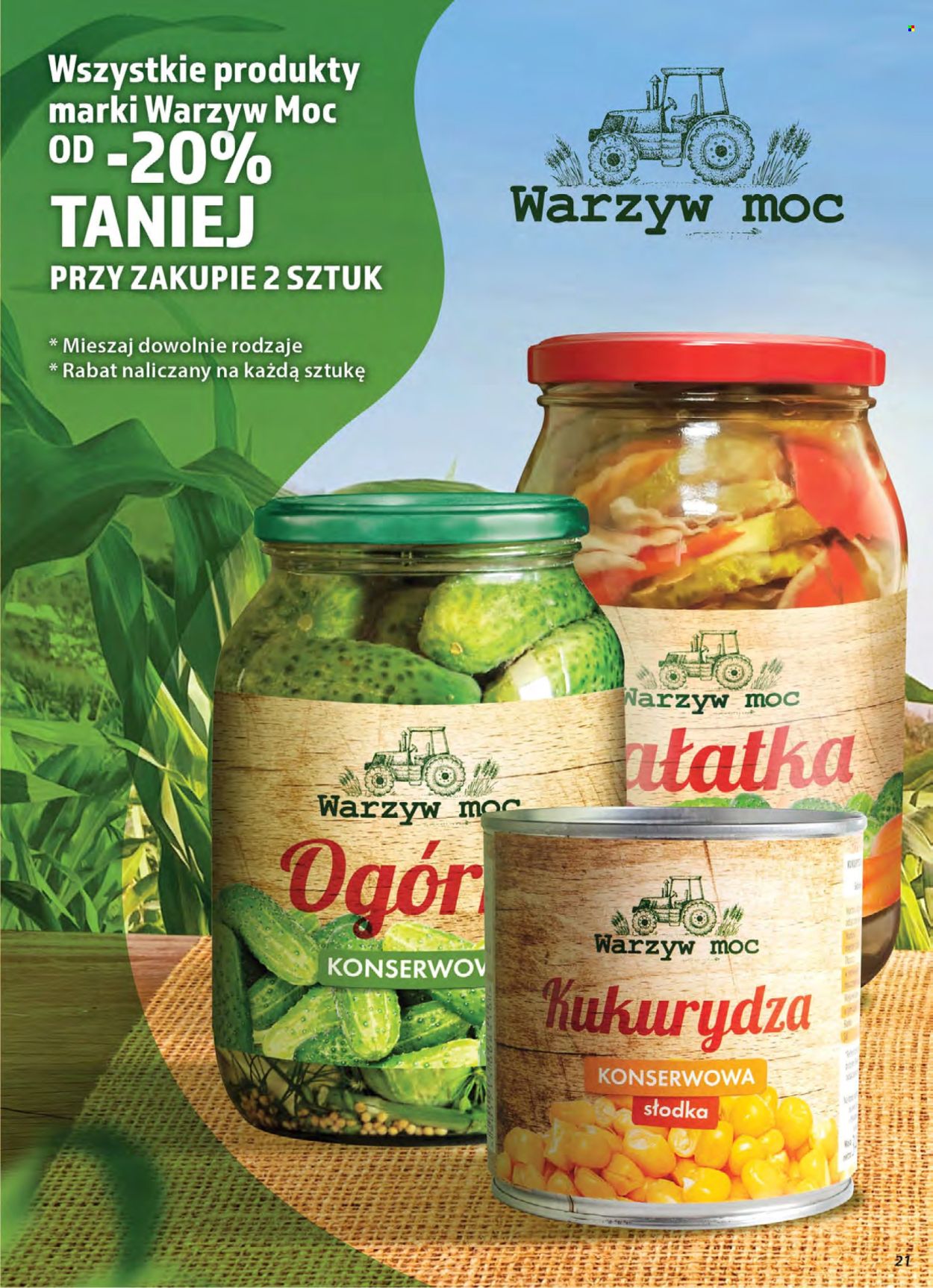 Gazetka Dino - 28.01.2026 - 3.02.2026. Strona 21