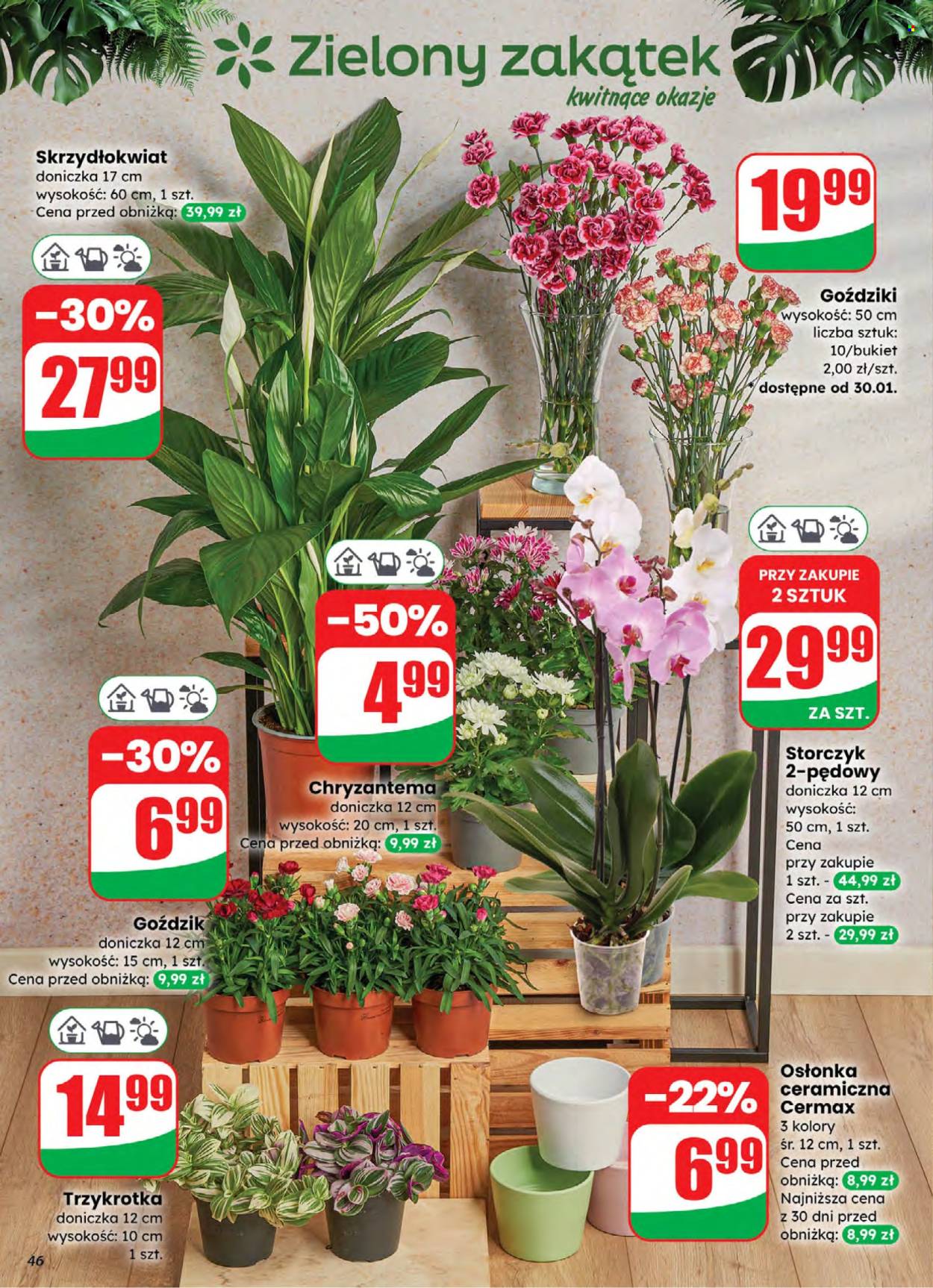 Gazetka Dino - 28.01.2026 - 3.02.2026. Strona 46