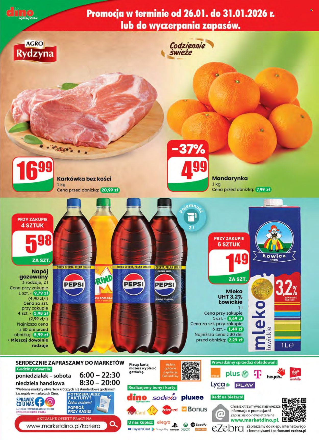 Gazetka Dino - 28.01.2026 - 3.02.2026. Strona 61