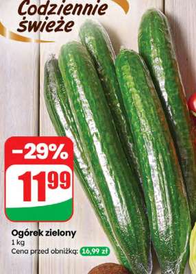 Ogórek zielony