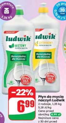 Płyn do mycia naczyń Ludwik