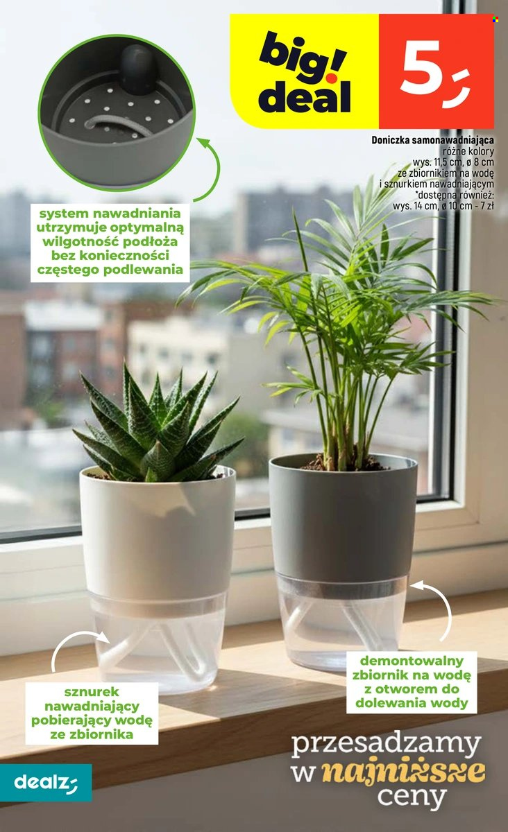 Gazetka Dealz - 29.01.2026 - 4.02.2026. Strona 36