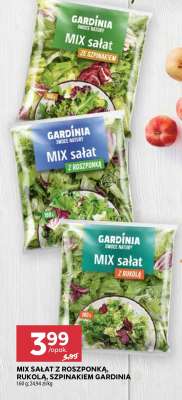 MIX SAŁAT Z ROSZPONKĄ, RUKOLA, SZPINAKIEM GARDINIA