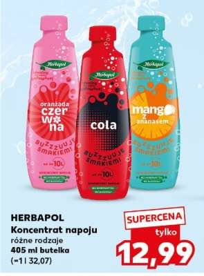 HERBAPOL Koncentrat napoju