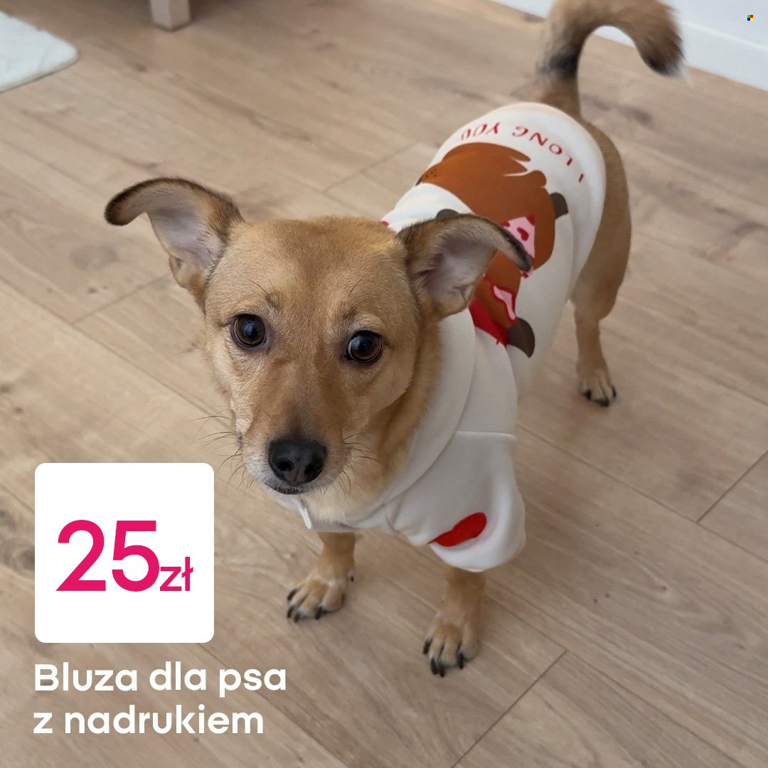 Gazetka Pepco. Strona 4