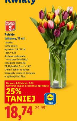 Polskie tulipany, 15 szt.