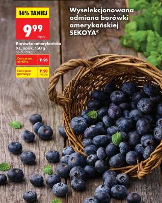 Borówka amerykańska XL, opak. 150 g