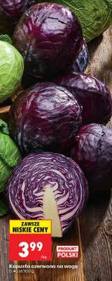 Kapusta czerwona na wage