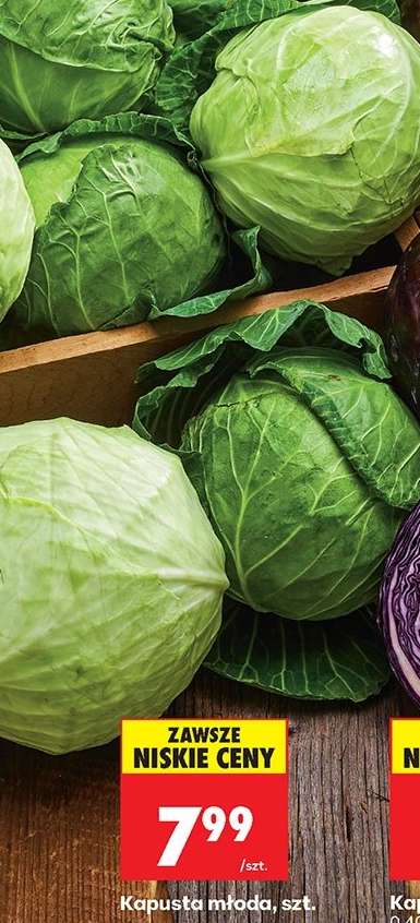 Kapusta młoda szt