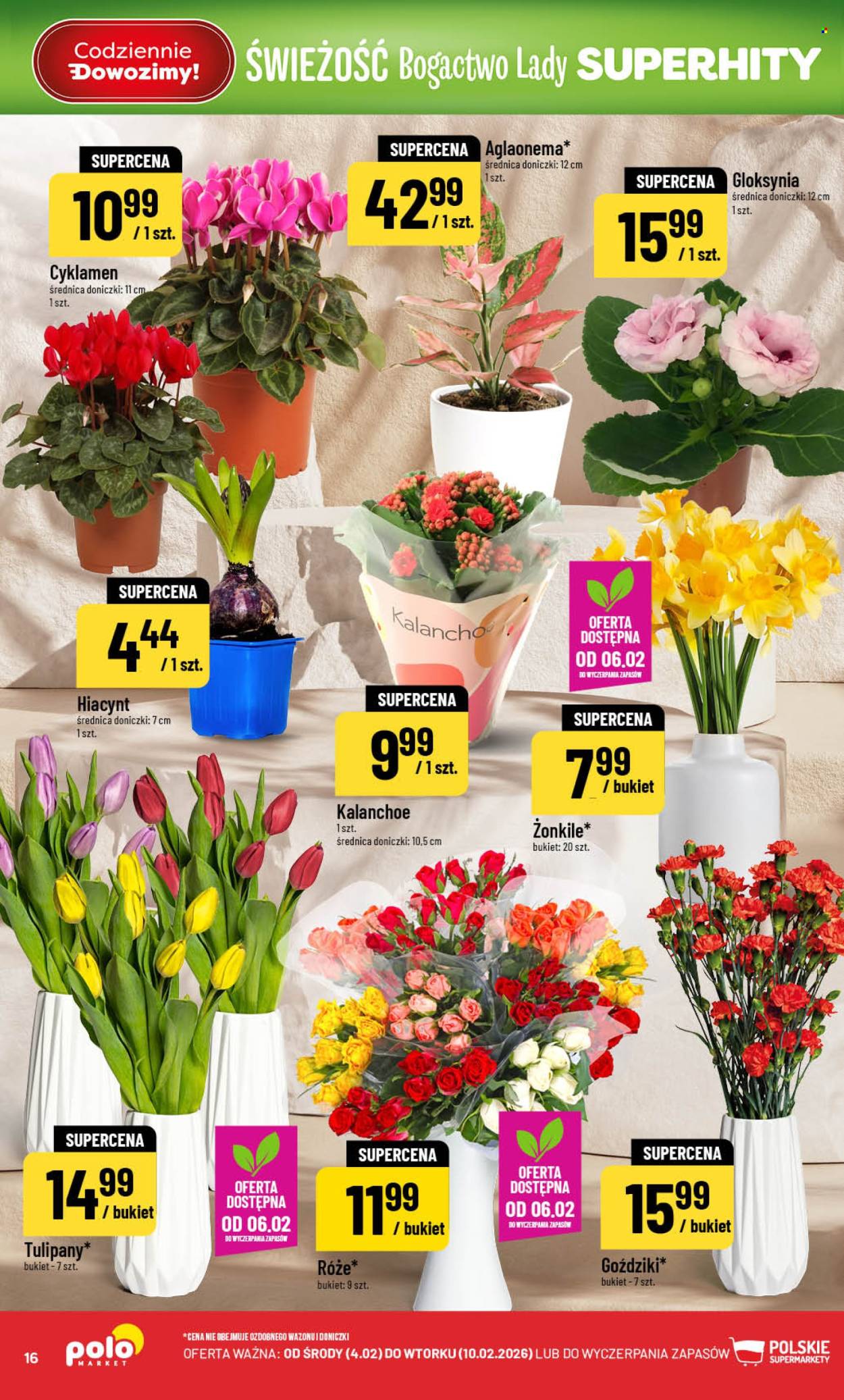 Gazetka Polomarket - 4.02.2026 - 10.02.2026. Strona 16