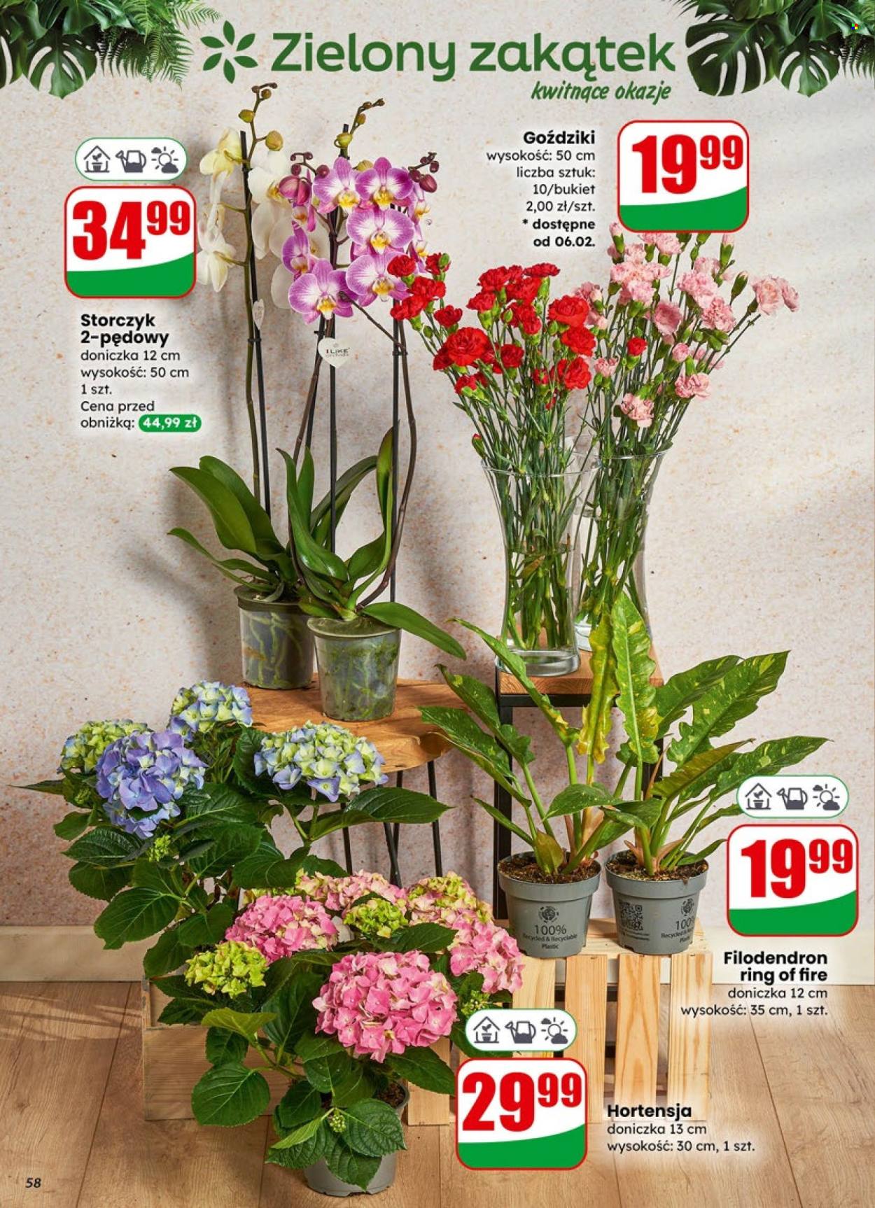 Gazetka Dino - 4.02.2026 - 10.02.2026. Strona 58