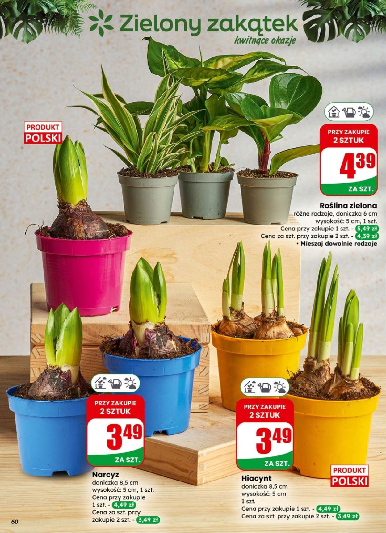 Gazetka Dino - 4.02.2026 - 10.02.2026. Strona 60