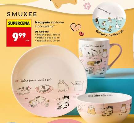 Naczynia stołowe z porcelany