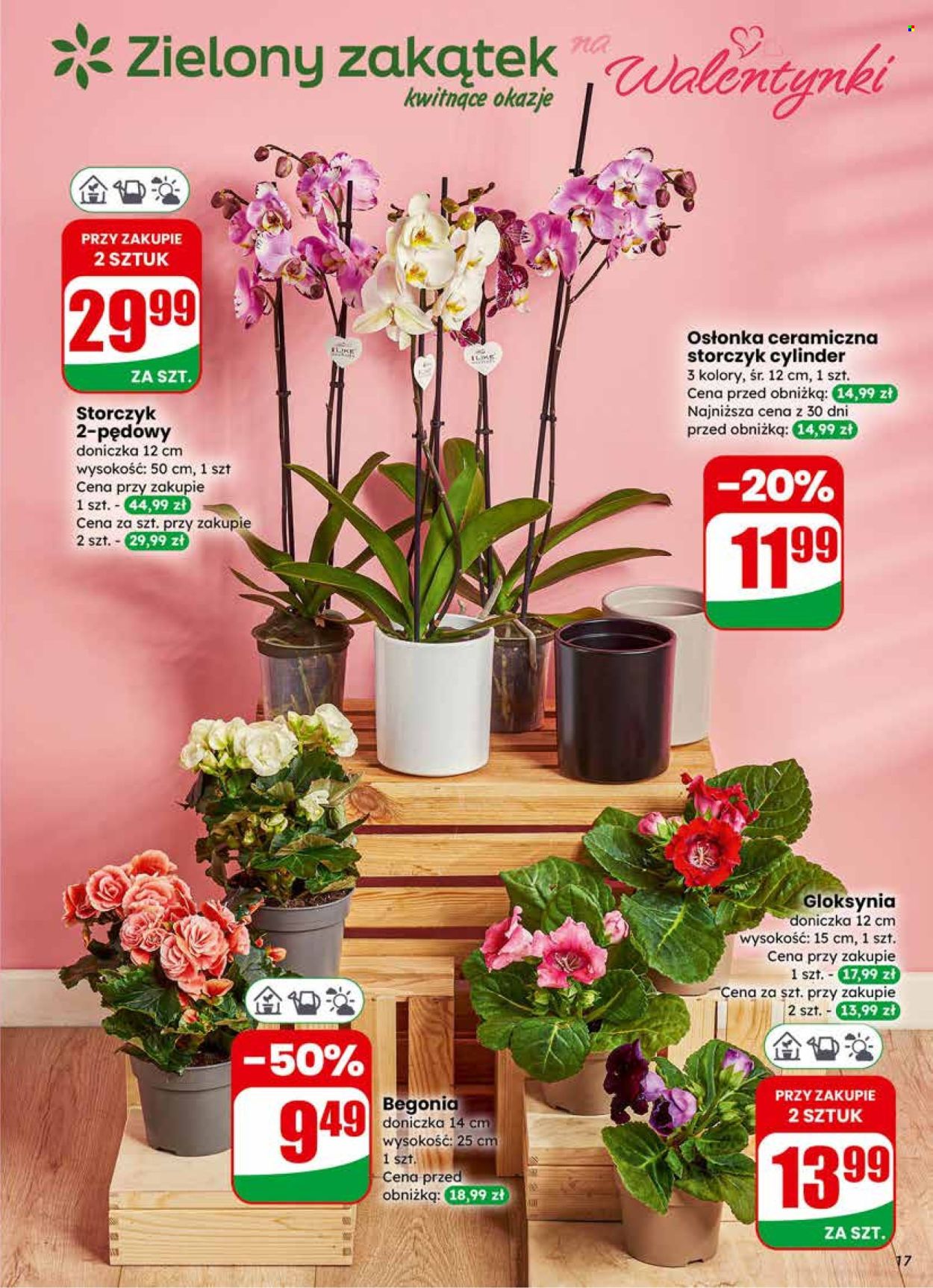 Gazetka Dino - 11.02.2026 - 17.02.2026. Strona 17