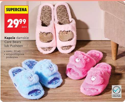 Kapcie damskie Care Bears lub Pusheen