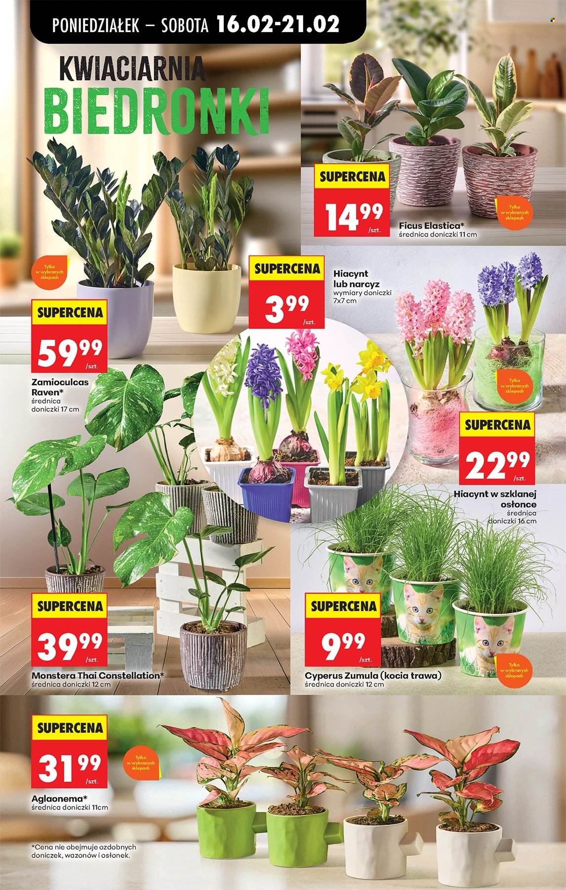 Gazetka Biedronka - 16.02.2026 - 21.02.2026. Strona 68