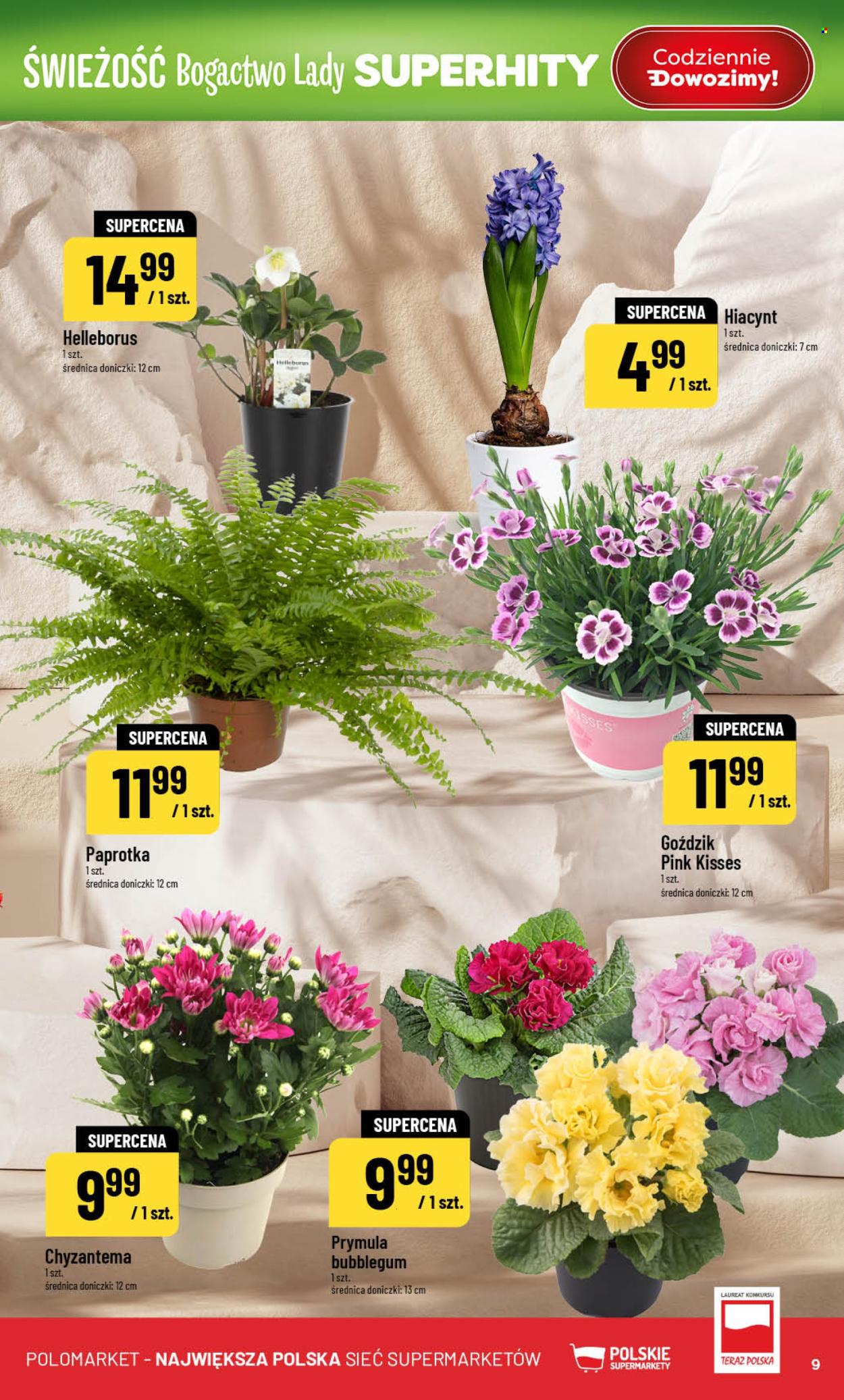 Gazetka Polomarket - 18.02.2026 - 24.02.2026. Strona 9