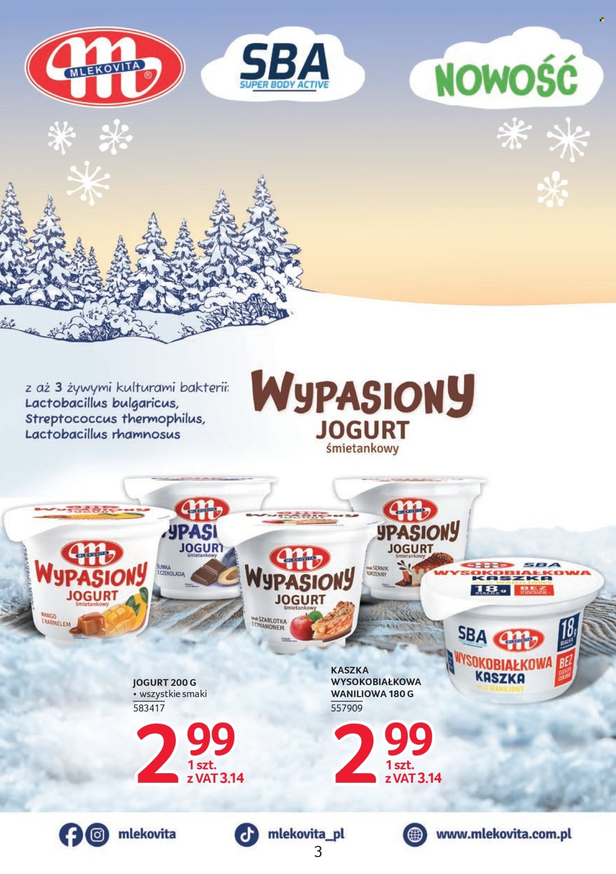 Gazetka Selgros - 19.02.2026 - 4.03.2026. Strona 3