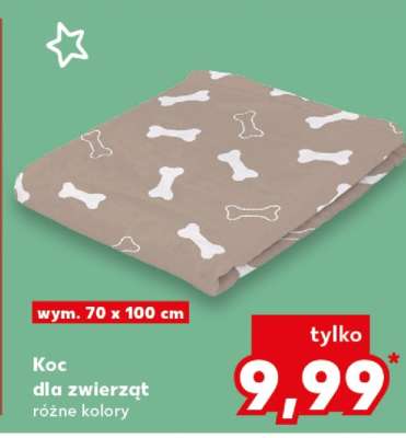 Koc dla zwierząt