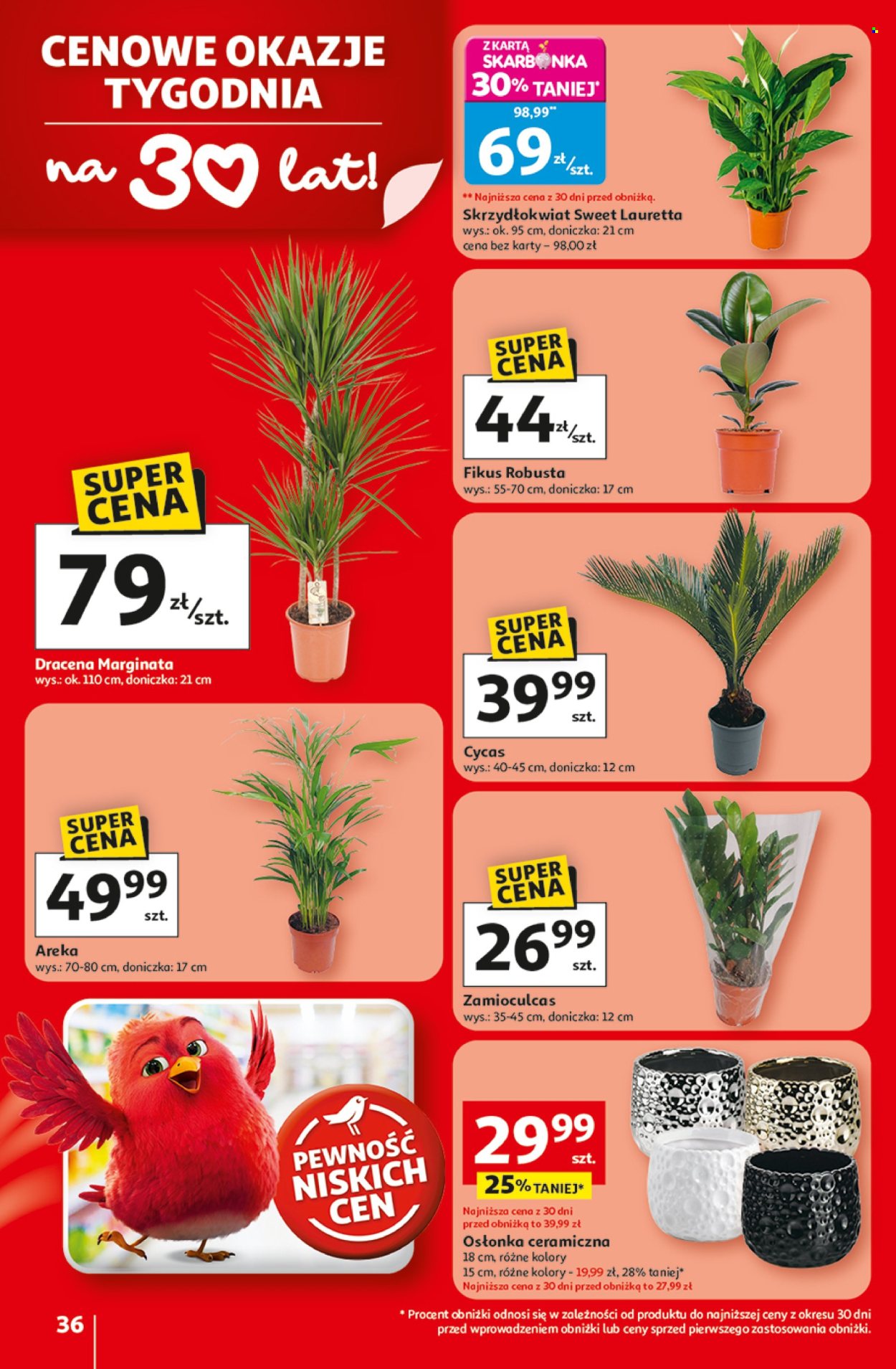 Gazetka Auchan - 19.02.2026 - 25.02.2026. Strona 36