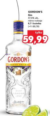 GORDON'S Gin